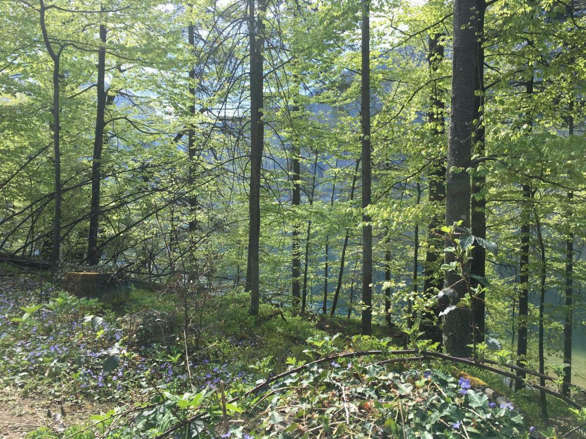 Appartements Im Forsthaus Strobl Exterior foto